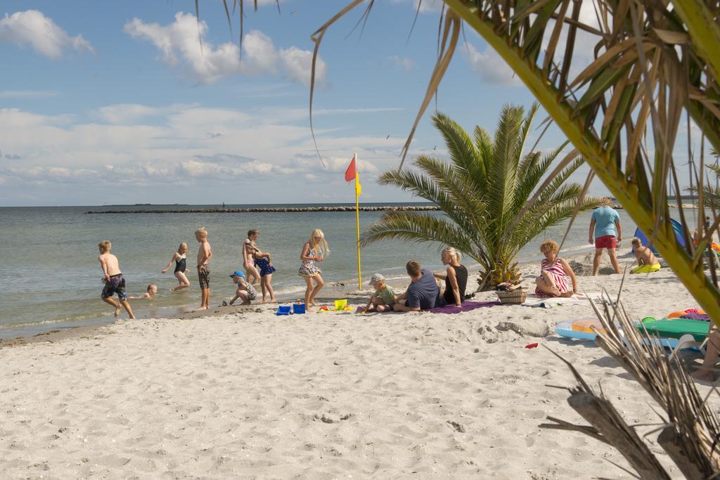 Frederikshavn Nordstrand Camping & Cottages Εξωτερικό φωτογραφία